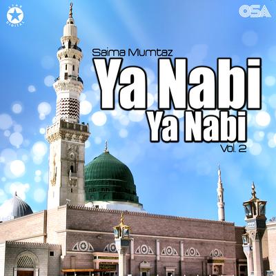 Ya Nabi Ya Nabi, Vol. 2's cover