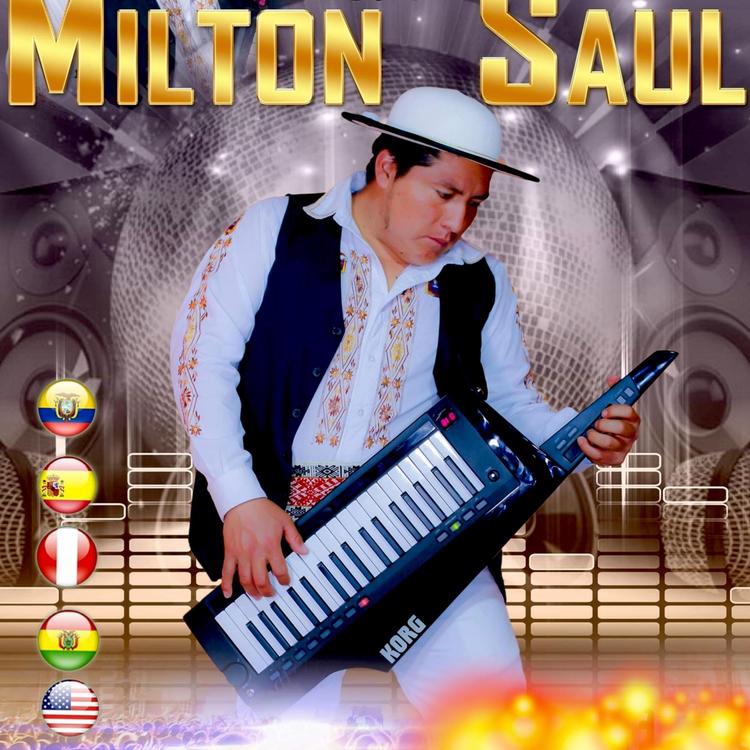 Milton Saul's avatar image