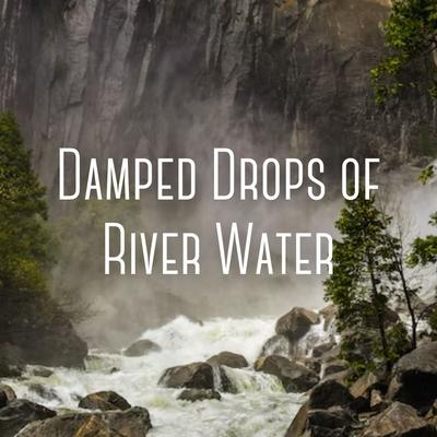 Damped Drops of River Water's cover