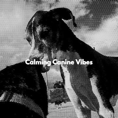 Calming Canine Vibes's cover