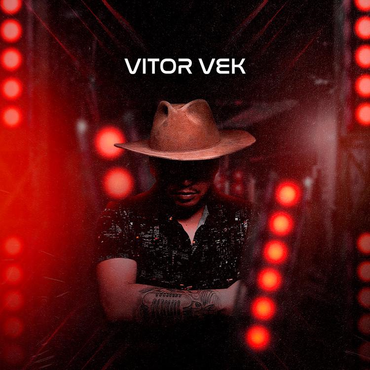 Vitor Vek's avatar image