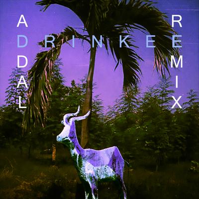 Drinkee (Addal Remix) By Sofi Tukker's cover