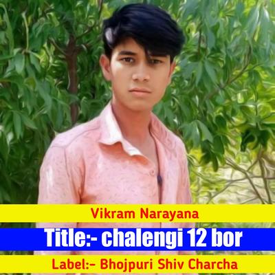 Vikram Narayana's cover