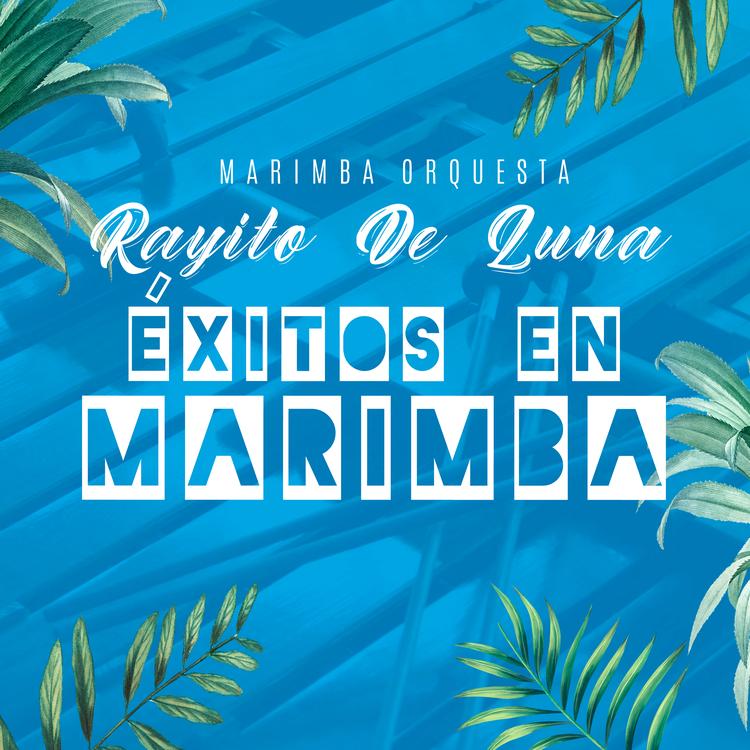 Marimba Orquesta Rayito De Luna's avatar image