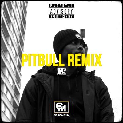 Pitbull (Remix)'s cover