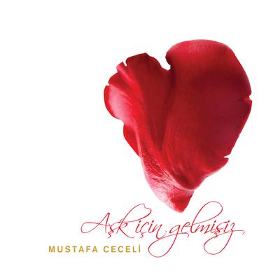Aşk İçin Gelmişiz's cover