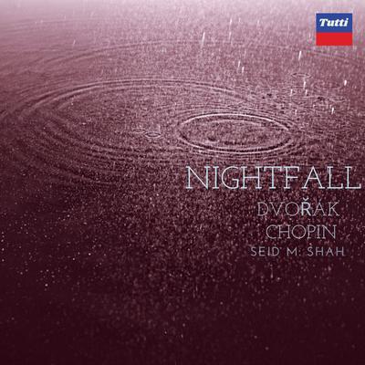 NIGHTFALL: Dvořák & Chopin's cover