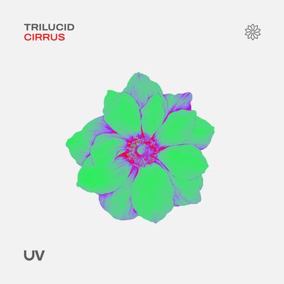 Cirrus By Trilucid's cover