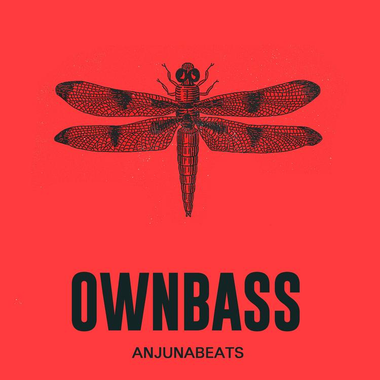 OWNBASS's avatar image