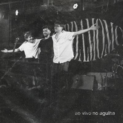 lamparina (ao vivo no agulha) By Cardamomo's cover