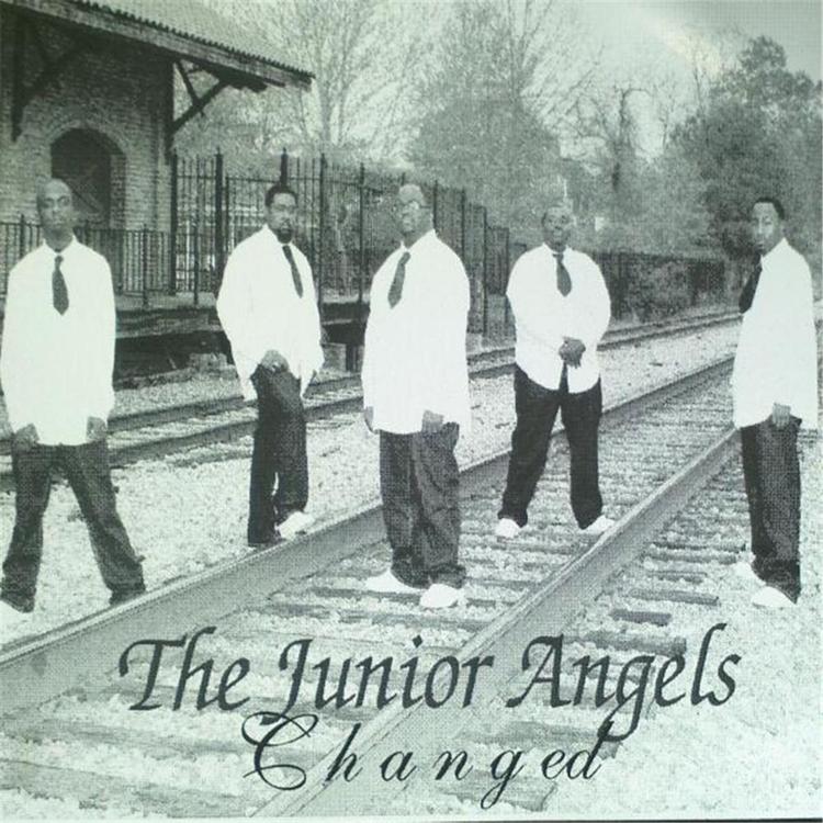 The Junior Angels's avatar image