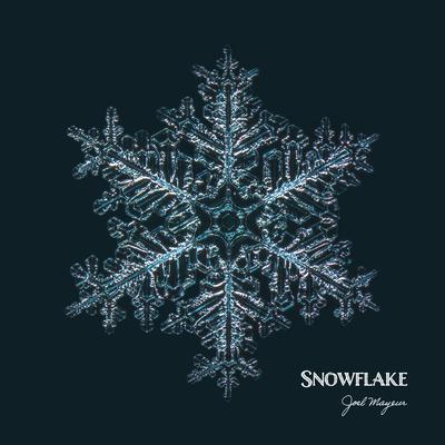 Snowflake By Joel Mayeur, Naomi Alzingre's cover