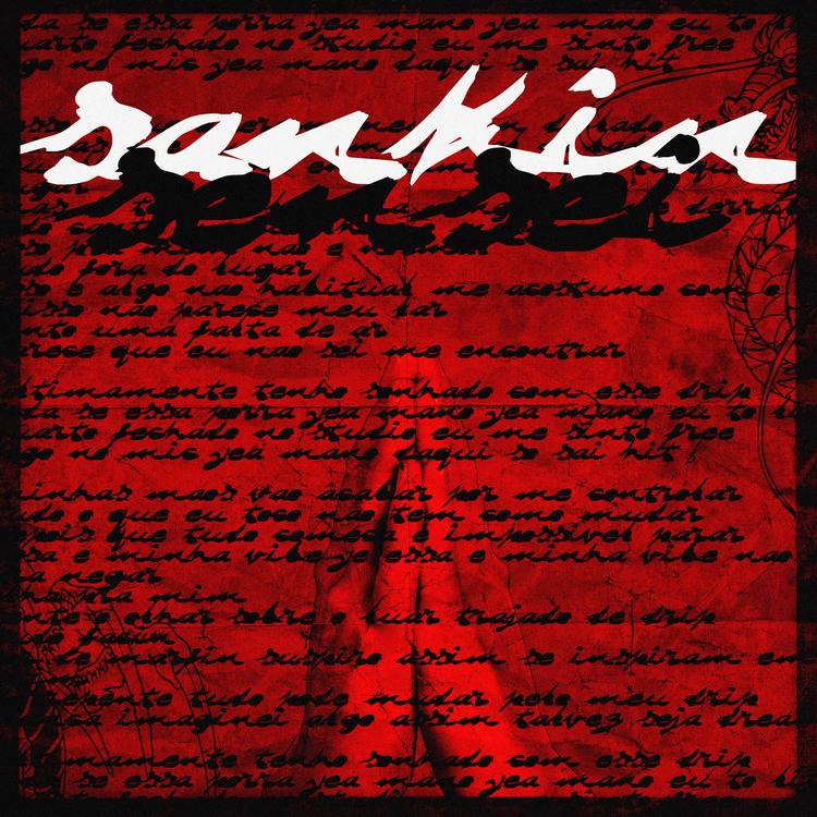 Sankin's avatar image