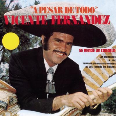 A Pesar de Todo By Vicente Fernández's cover