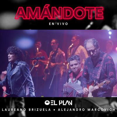 Amándote (En vivo)'s cover