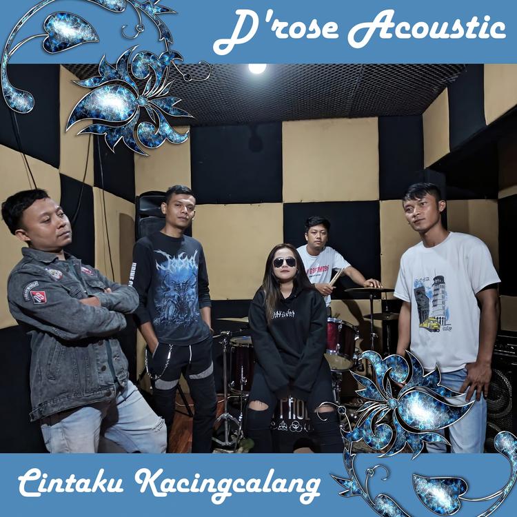 D'Rose Acoustic's avatar image