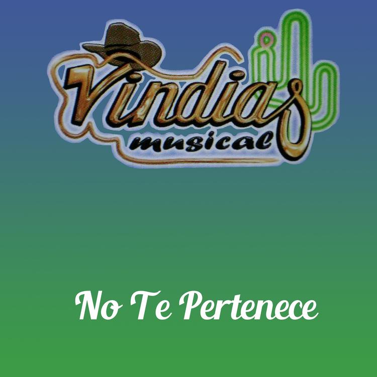 Vindias Musical's avatar image