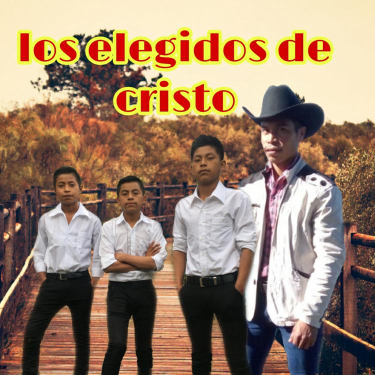 Los elegidos de cristo's avatar image