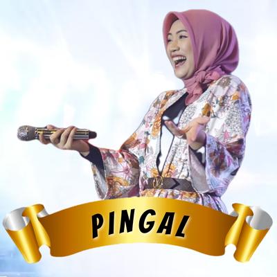 Pingal's cover