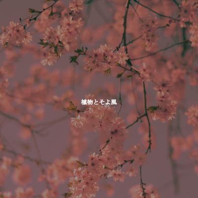 植物とそよ風's cover