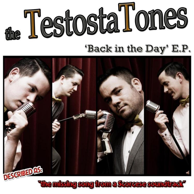 The Testostatones's avatar image