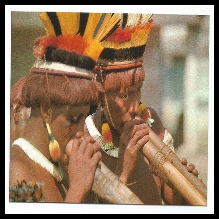 Brasil Indígena's avatar image