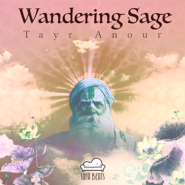 Tayr Anour's avatar image