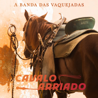 Vaqueiro vaidoso By Cavalo Arriado's cover