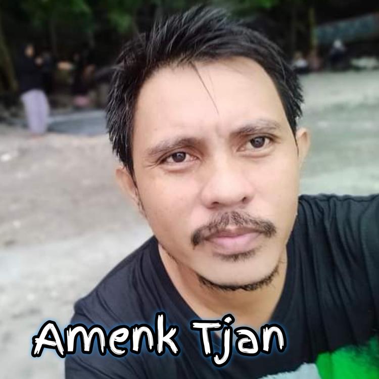 Amenk Tjan's avatar image