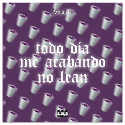 Todo Dia Me Acabando no Lean (Speed Plug) By Sxmu10's cover