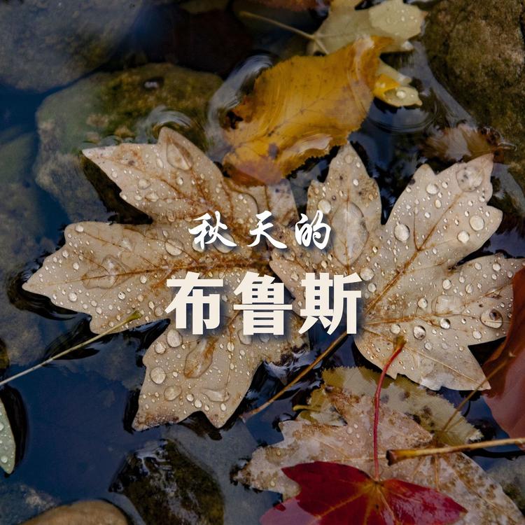 蓝调音乐's avatar image