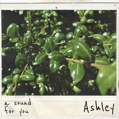 Ashley By a sound for you's cover