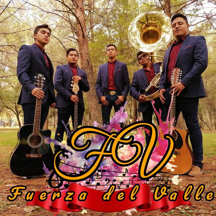 Fuerza del Valle's avatar image