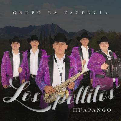 Grupo La Escencia's cover