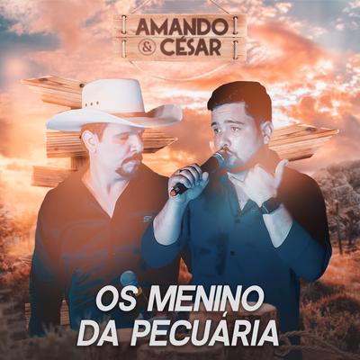 Os Menino da Pecuária By Amando e César's cover