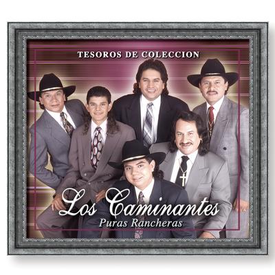 Tesoros de Colección - Ranchero's cover