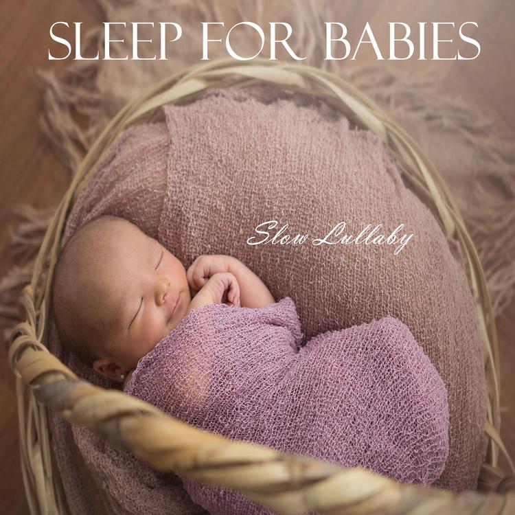 Sleep for Babies's avatar image