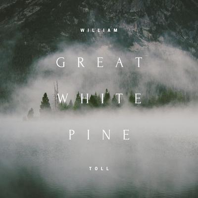 Great White Pine By William Toll's cover
