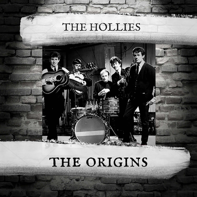 Look Through Any Window By The Hollies's cover