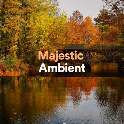 Forthright Ambient's cover