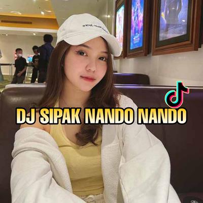 Dj Sipak Nando Nando Meyden Viral !!! By ALIZ JOEZ's cover