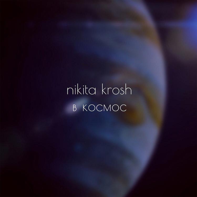 nikita krosh's avatar image