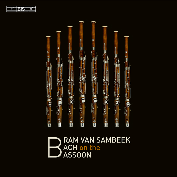 Bram van Sambeek's avatar image