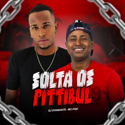 Solta os Pitbul By Dyamante DJ, MC PQD's cover