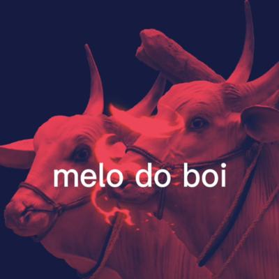 Melo do Boi's cover