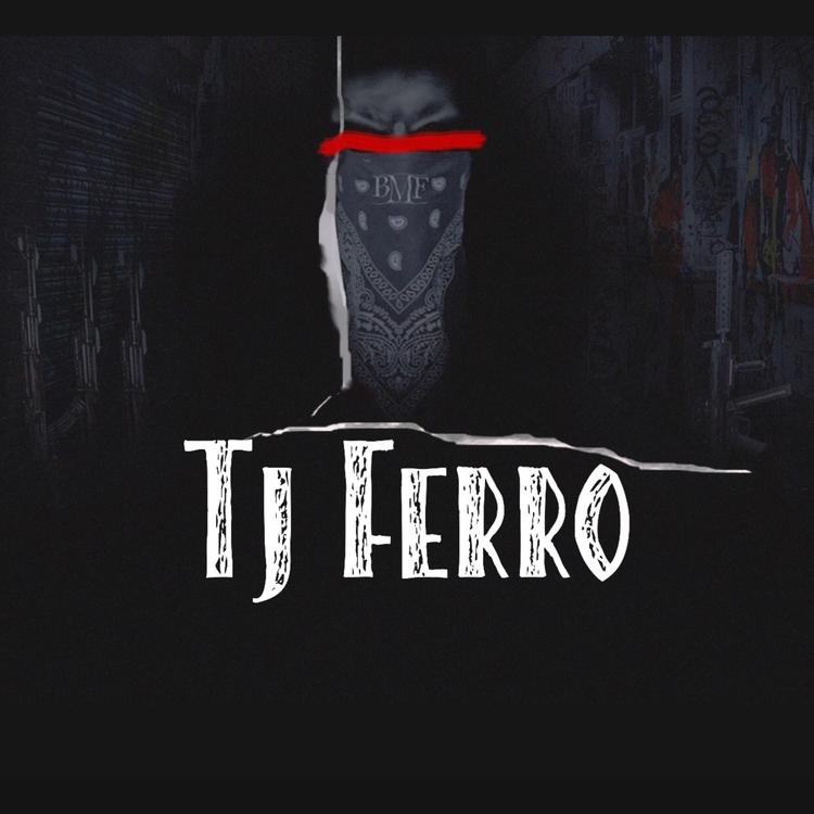 Tj Ferro's avatar image