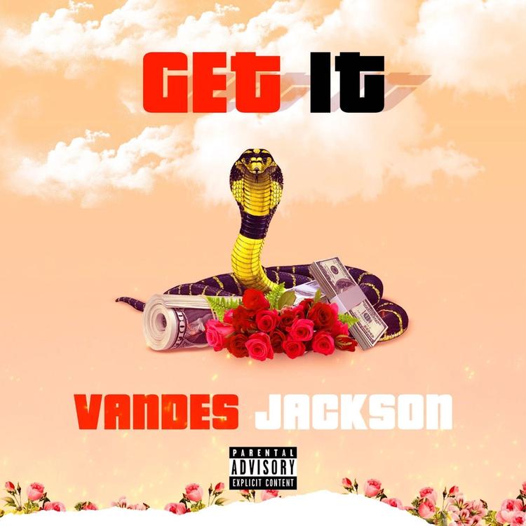 Vandes Jackson's avatar image