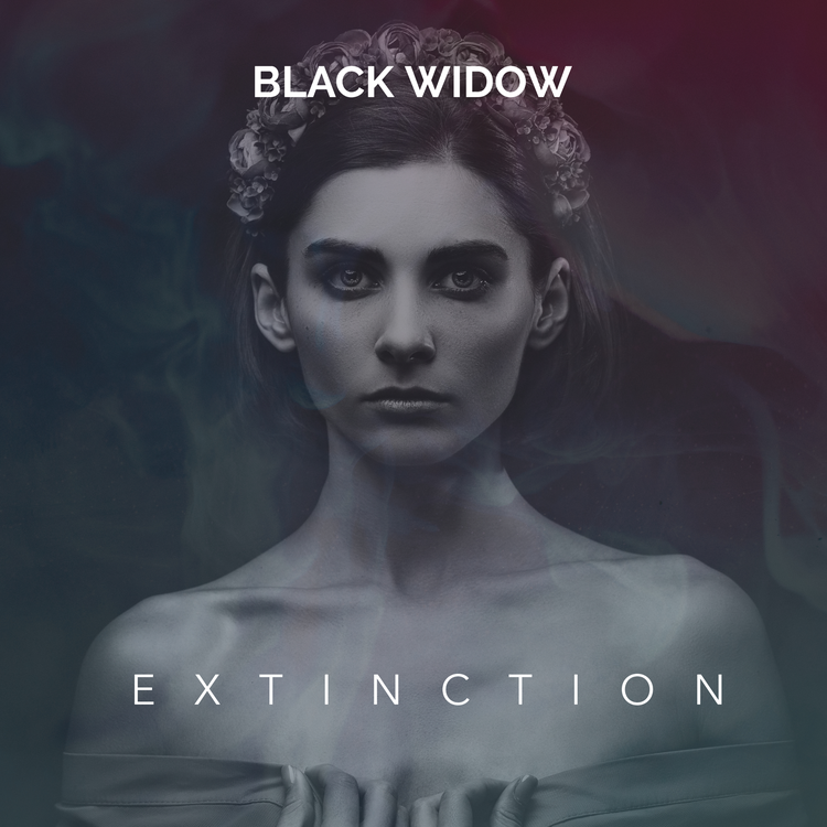 Black Widow's avatar image