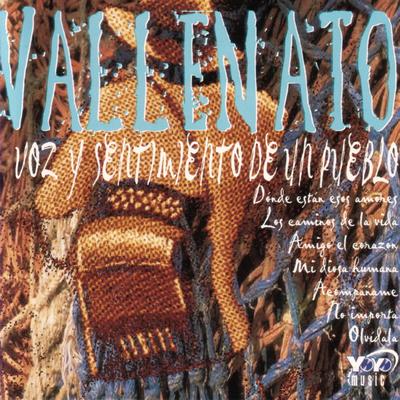 Un Camino Legano By Vallenato's cover