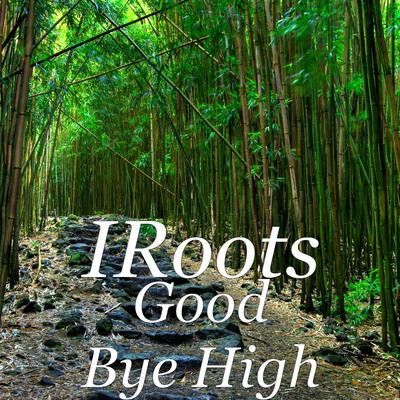 IRoots's cover